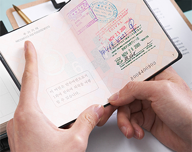 Visa Application