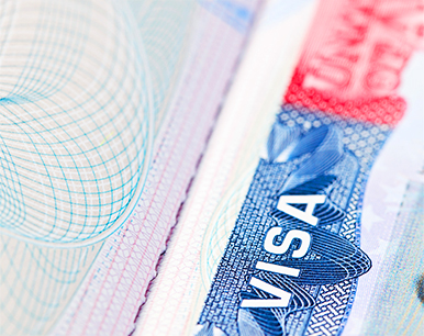 Visa Application